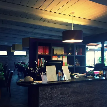 B&B En 고네사